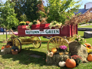 Autumn on the Green, Danville, VT